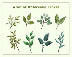 Set of watercolor leaves for decoration vector