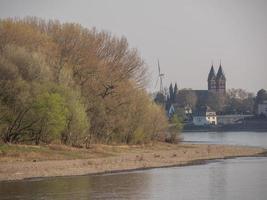 the river rhine near cologne in germany photo