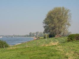 the river rhine in germany photo