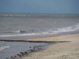 the german island of Baltrum photo