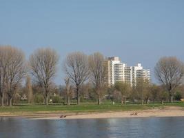 the river rhine near cologne in germany photo