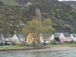 the river rhine in germany photo