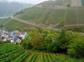 assmannshausen at the river rhine photo