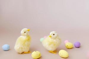 Easter background with easter chicks and eggs. Easter decor photo