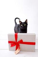 christmas black cat with christmas present. photo