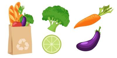 Collection set of food object vegetable carrot eggplant cauliflower lemon bread vector