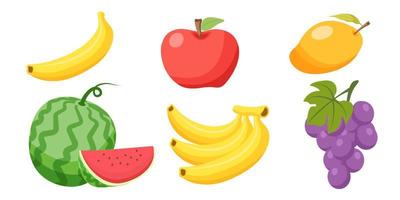 Collection set of food fruit water melon apple banana grape mango vector