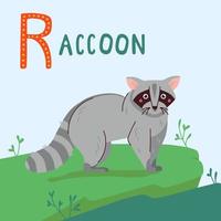 Raccoon flat vector illustrationon on green grass