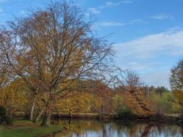 autumn time in westphalia photo