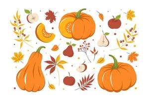 Set with pumpkin, autumn colorful leaves and fruit. Card design Happy thanksgiving. Vector illustration