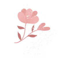 roze bloem illustratie png