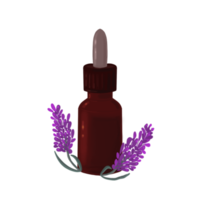 Lavendelöl-Illustration png