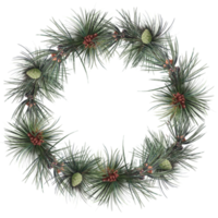 wreath of christmas tree branches, illustration png