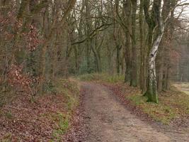 senderismo en el muensterland alemán foto