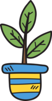 Hand Drawn a tree in a pot illustration on transparent background png