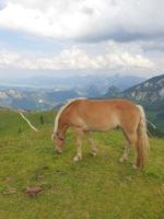 en los alpes bávaros foto