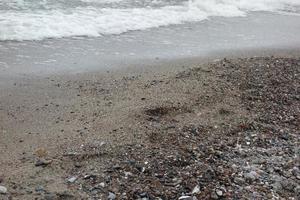 the island of zingst at the baltic sea photo