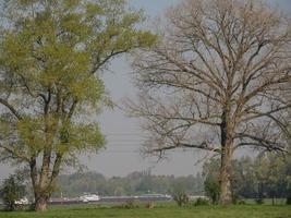 the river rhine in germany photo