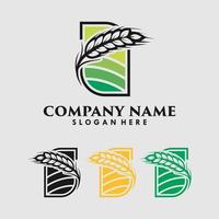Wheat grain logo design template vector