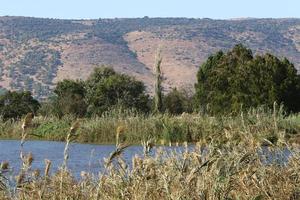 Landscape in the mountains in northern Israel. photo