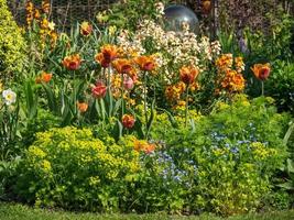 summer time in the garden photo