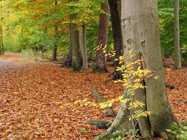 tiempo de otoño en westfalia foto