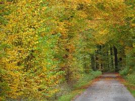 tiempo de otoño en westfalia foto