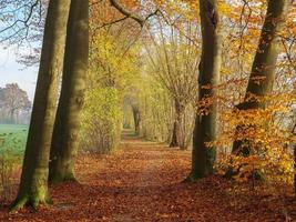 tiempo de otoño en westfalia foto