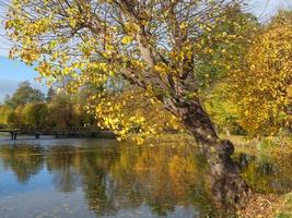 tiempo de otoño en westfalia foto