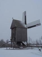 winter time in te german muensterland photo