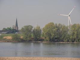 rees at the rhine river photo