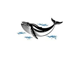 Wild whale animal character vector