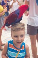 Cute kid having fun while parrot is standing on his head. photo