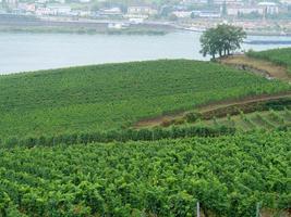 Ruedesheim at the river rhine photo