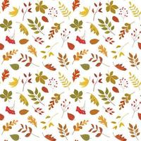 hojas de bosque de otoño y patrones sin fisuras de bayas. ilustración vectorial estacional. fondo vectorial específico de la temporada de otoño. perfecto para saludos, invitaciones, papel de envolver, textil. vector