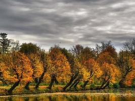 autumn time in westphalia photo