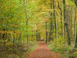 tiempo de otoño en westfalia foto