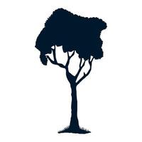 forest tree plant silhouette vector