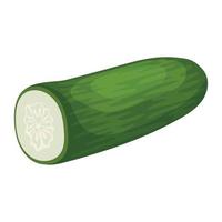 fresh cucumber vegetable vector