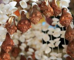 Mobile made from variety shells photo
