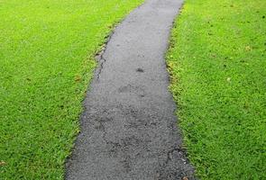 pathway in the green grass photo