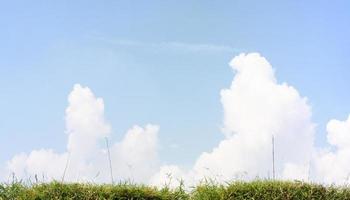 cielo azul con nubes y hojas de bambú foto