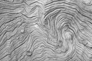 black and white detail of wooden plank pattern with hole bud photo