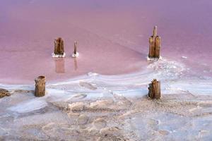 Salt crystals, footprints of tourists on a pink lake where salt is mined photo