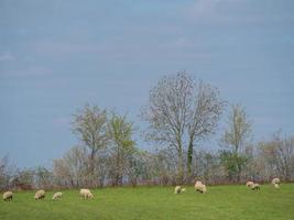 hiking in the german baumberge photo