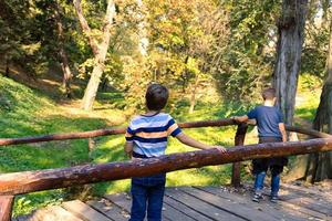 Small boy relaxing on wooden bridge in nature. photo