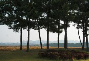 fotos de paisajes de otoño de octubre y árboles