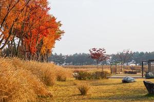 October Autumn Scenery Photos and Trees