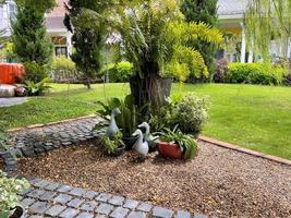 Pictures of green grass and stone garden decorations in the backyard of the house decorated with duck statues. photo