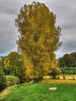 tiempo de otoño en westfalia foto